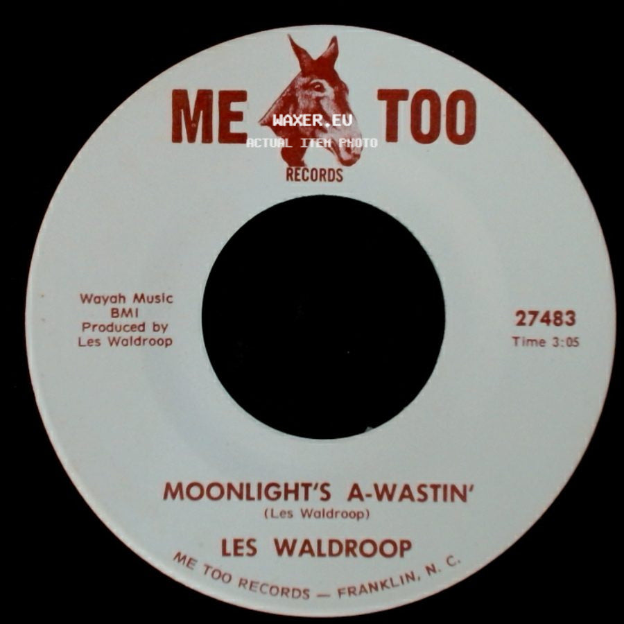 Les Waldroop - Moonlight's A-Wastin' / Watergate Bugs side A