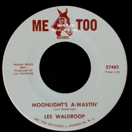 Les Waldroop - Moonlight's A-Wastin' / Watergate Bugs side A