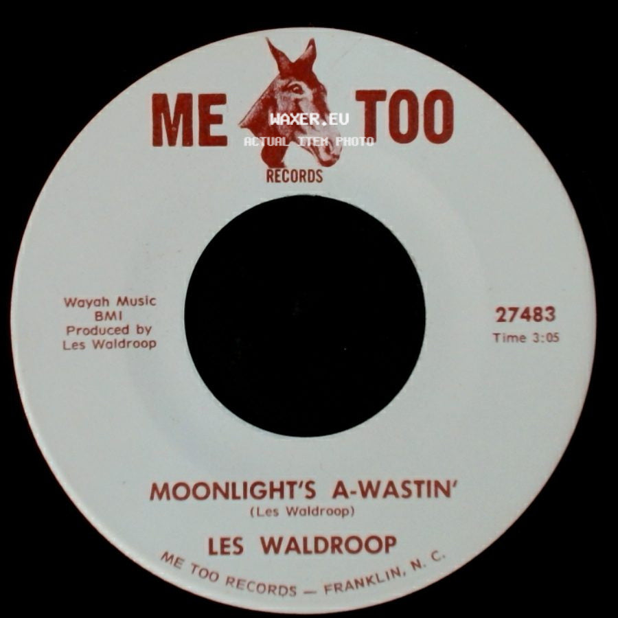 Les Waldroop - Moonlight's A-Wastin' / Watergate Bugs side A