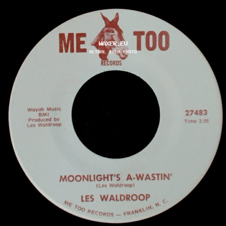 Les Waldroop - Moonlight's A-Wastin' / Watergate Bugs side A