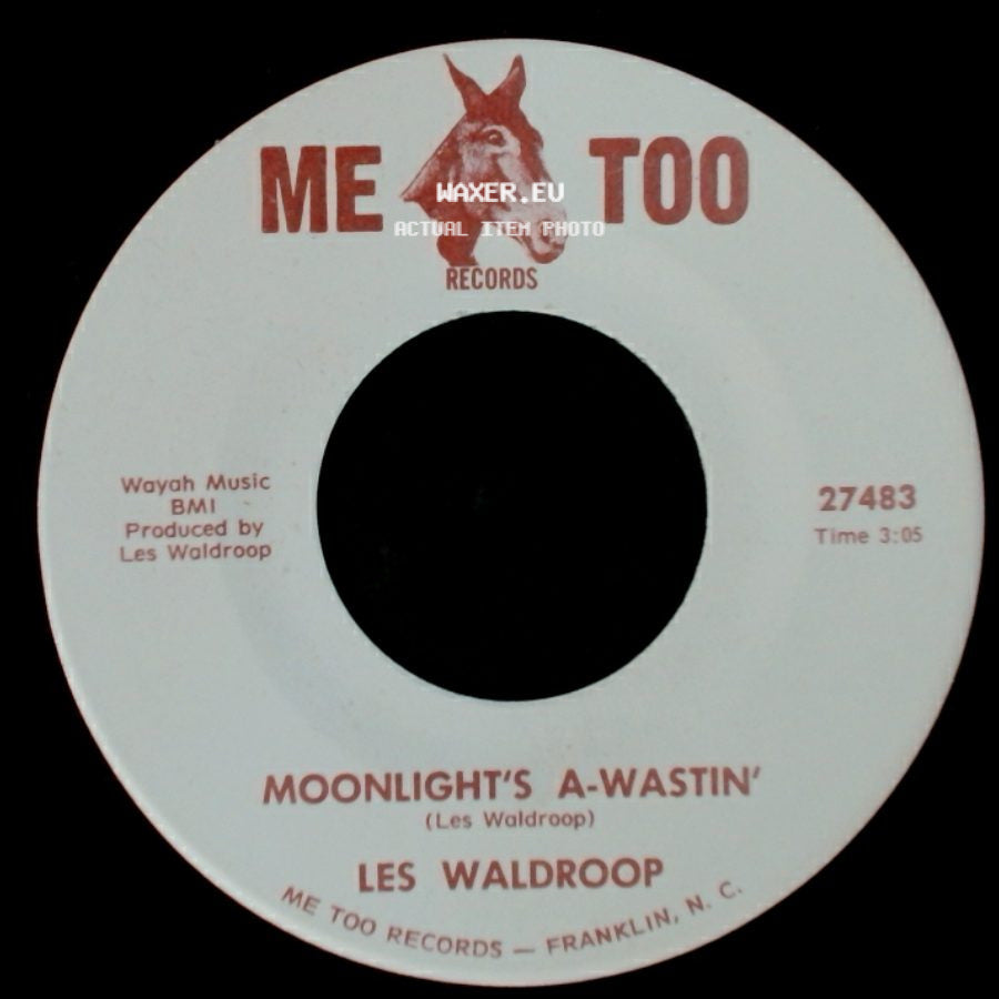 Les Waldroop - Moonlight's A-Wastin' / Watergate Bugs side A