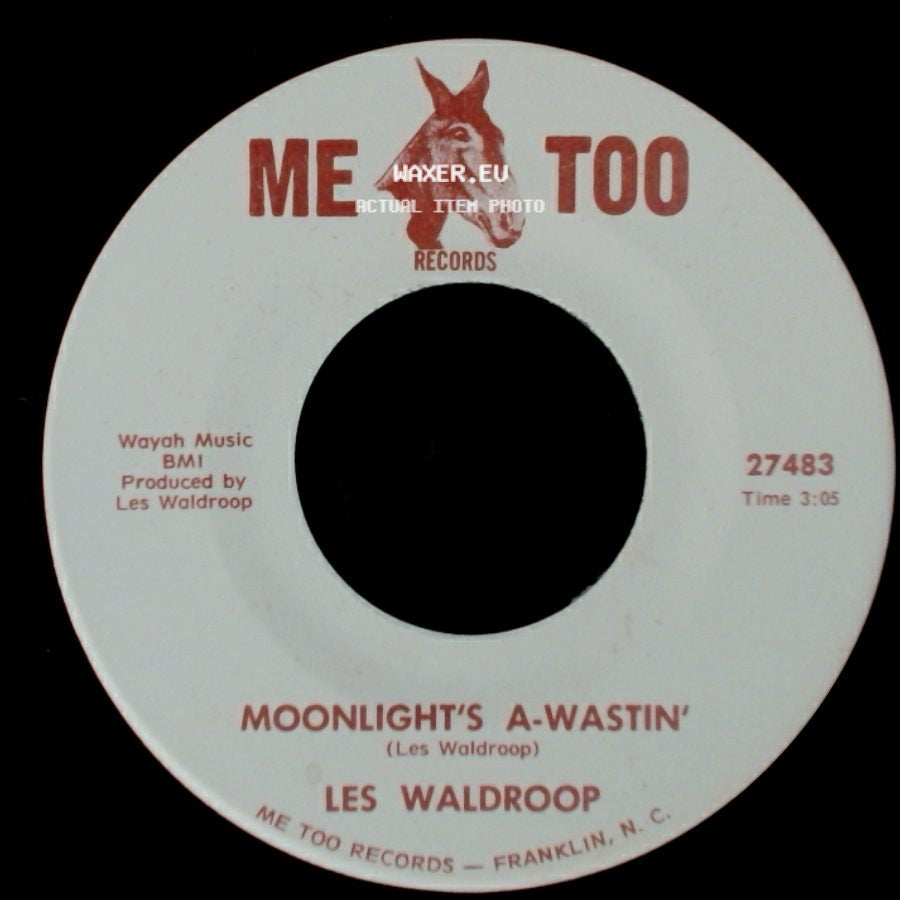 Les Waldroop - Moonlight's A-Wastin' / Watergate Bugs side A