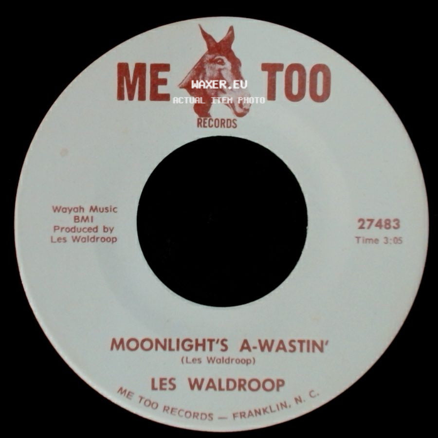 Les Waldroop - Watergate Bugs / Moonlight's A-Wastin' side B
