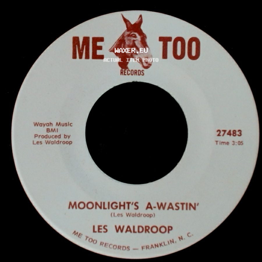 Les Waldroop - Moonlight's A-Wastin' / Watergate Bugs side A