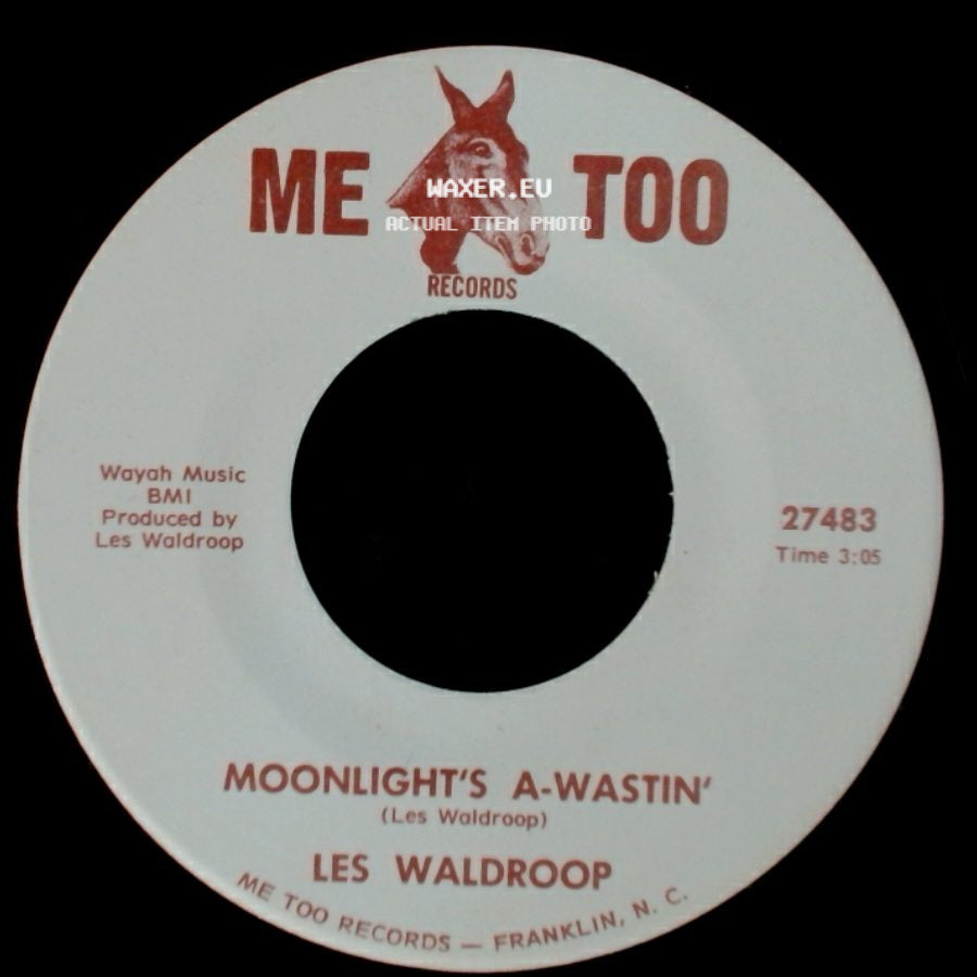 Les Waldroop - Moonlight's A-Wastin' / Watergate Bugs side A
