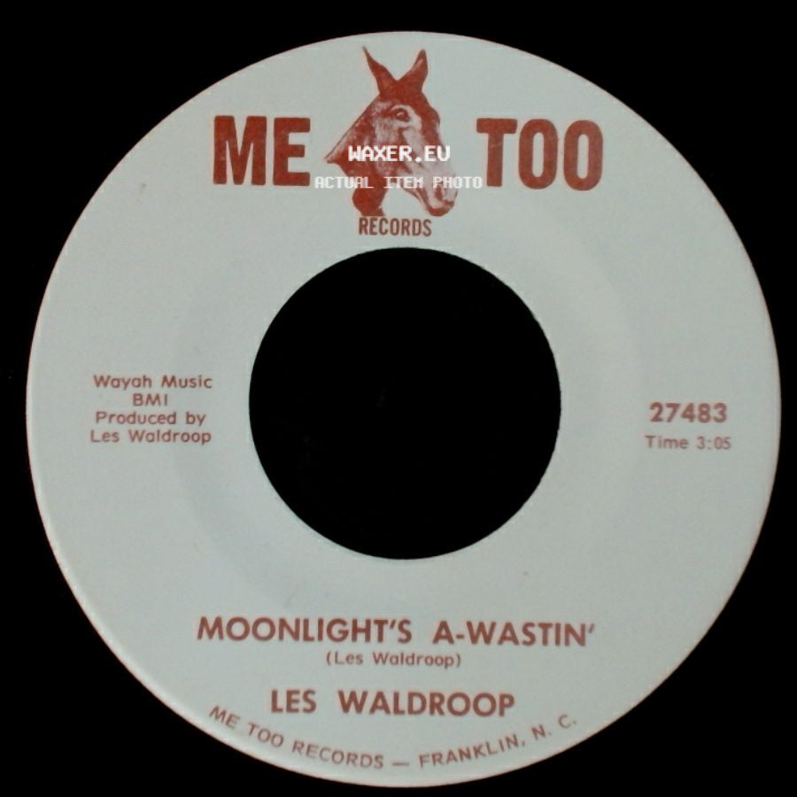 Les Waldroop - Watergate Bugs / Moonlight's A-Wastin' side B