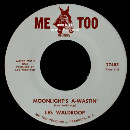 Les Waldroop - Moonlight's A-Wastin' / Watergate Bugs side A