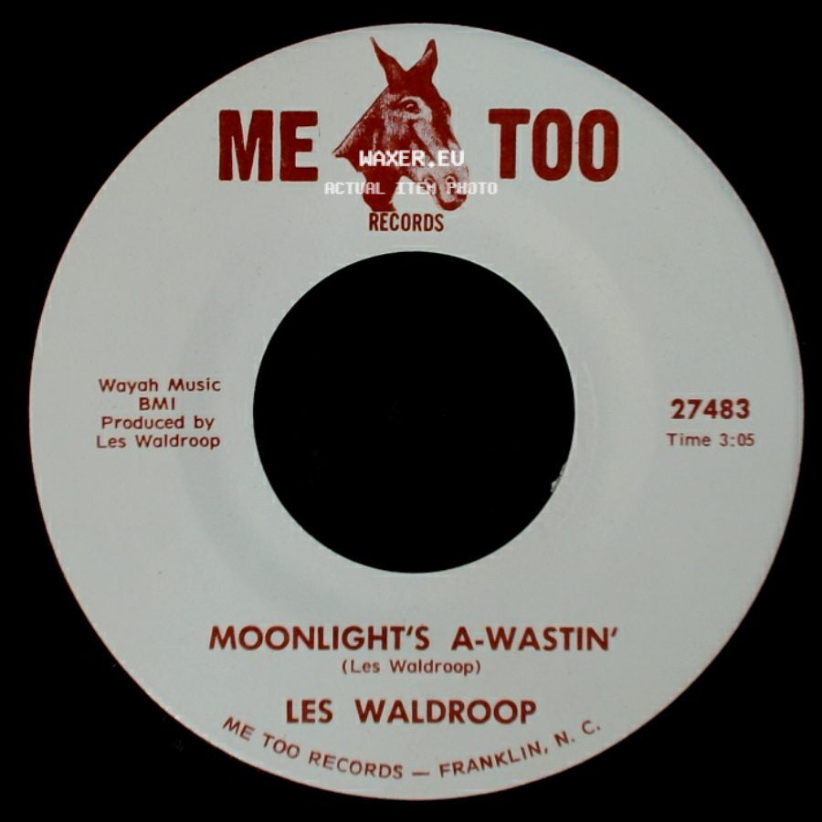 Les Waldroop - Moonlight's A-Wastin' / Watergate Bugs side A