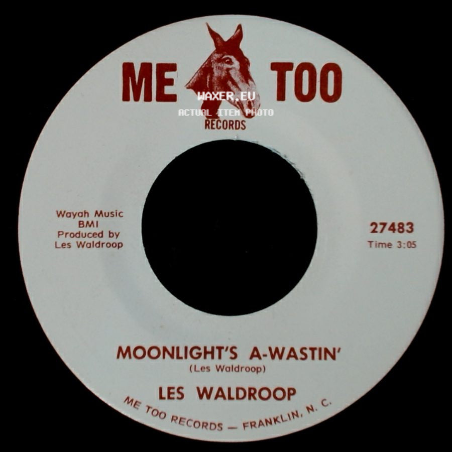 Les Waldroop - Watergate Bugs / Moonlight's A-Wastin' side B