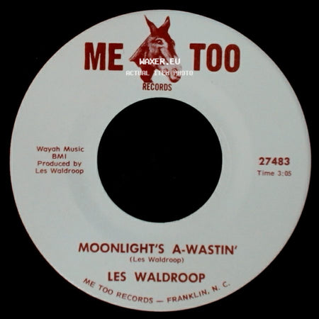 Les Waldroop - Moonlight's A-Wastin' / Watergate Bugs side A