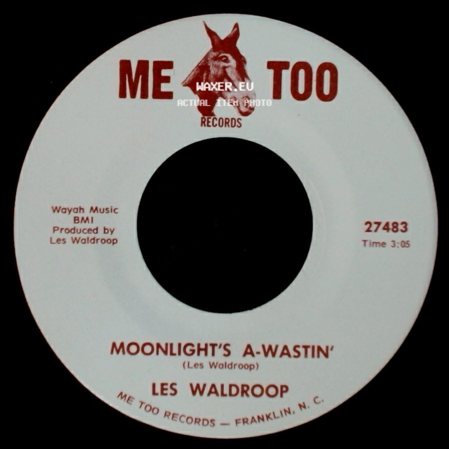 Les Waldroop - Moonlight's A-Wastin' / Watergate Bugs side A