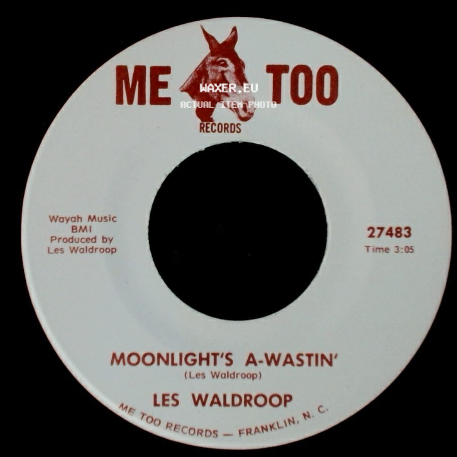 Les Waldroop - Moonlight's A-Wastin' / Watergate Bugs side A