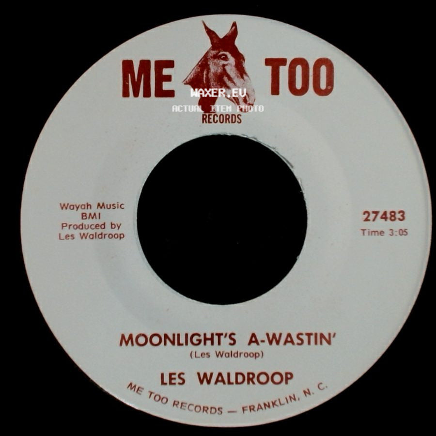 Les Waldroop - Watergate Bugs / Moonlight's A-Wastin' side B