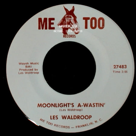 Les Waldroop - Moonlight's A-Wastin' / Watergate Bugs side A