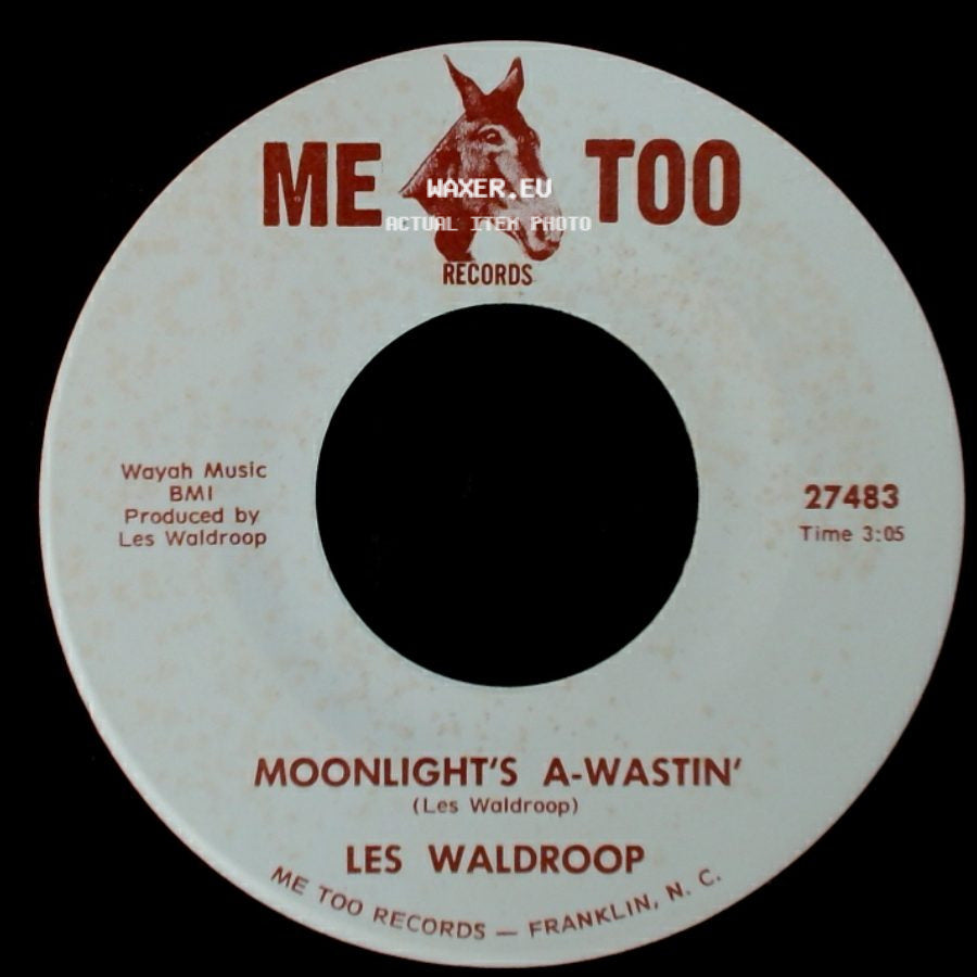 Les Waldroop - Watergate Bugs / Moonlight's A-Wastin' side B