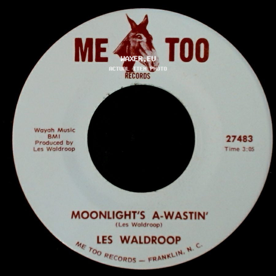 Les Waldroop - Moonlight's A-Wastin' / Watergate Bugs side A