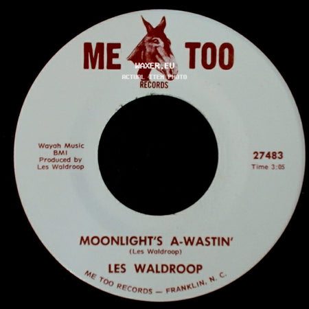 Les Waldroop - Moonlight's A-Wastin' / Watergate Bugs side A