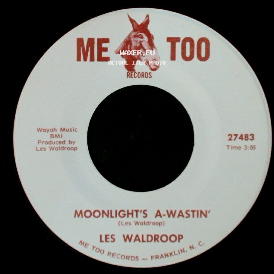 Les Waldroop - Moonlight's A-Wastin' / Watergate Bugs side A