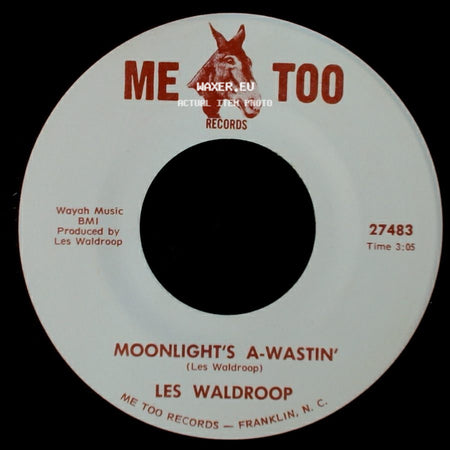 Les Waldroop - Watergate Bugs / Moonlight's A-Wastin' side B