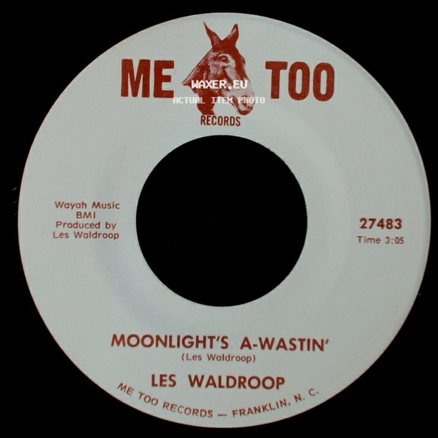 Les Waldroop - Watergate Bugs / Moonlight's A-Wastin' side B