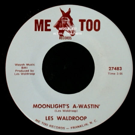 Les Waldroop - Watergate Bugs / Moonlight's A-Wastin' side B