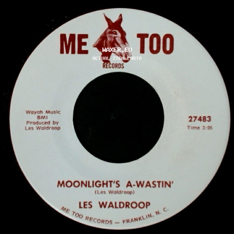 Les Waldroop - Watergate Bugs / Moonlight's A-Wastin' side B