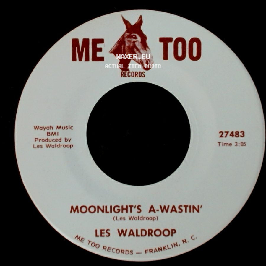 Les Waldroop - Moonlight's A-Wastin' / Watergate Bugs side A