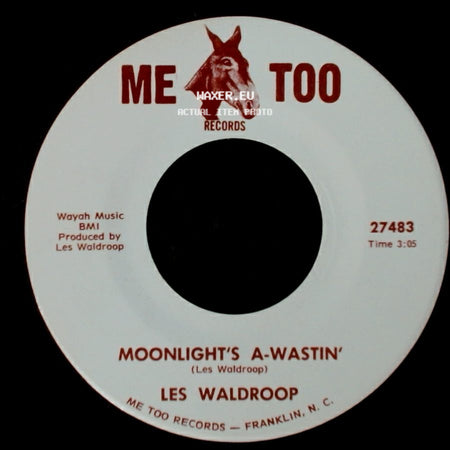 Les Waldroop - Moonlight's A-Wastin' / Watergate Bugs side A