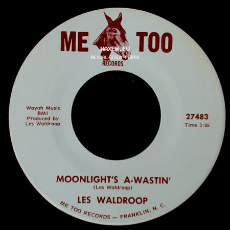 Les Waldroop - Watergate Bugs / Moonlight's A-Wastin' side B