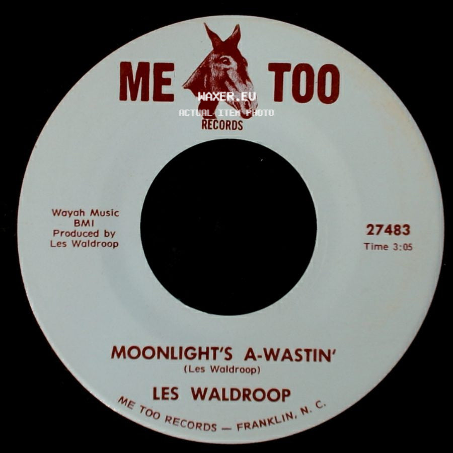 Les Waldroop - Watergate Bugs / Moonlight's A-Wastin' side B