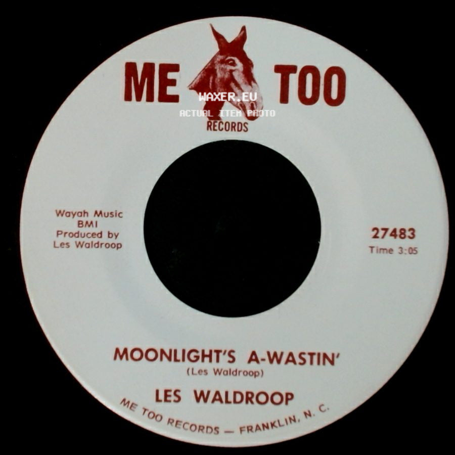 Les Waldroop - Watergate Bugs / Moonlight's A-Wastin' side B