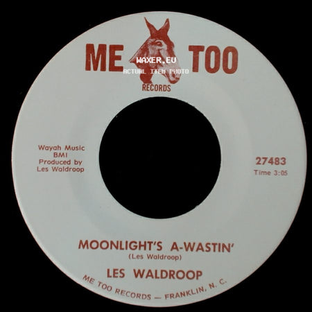 Les Waldroop - Watergate Bugs / Moonlight's A-Wastin' side B
