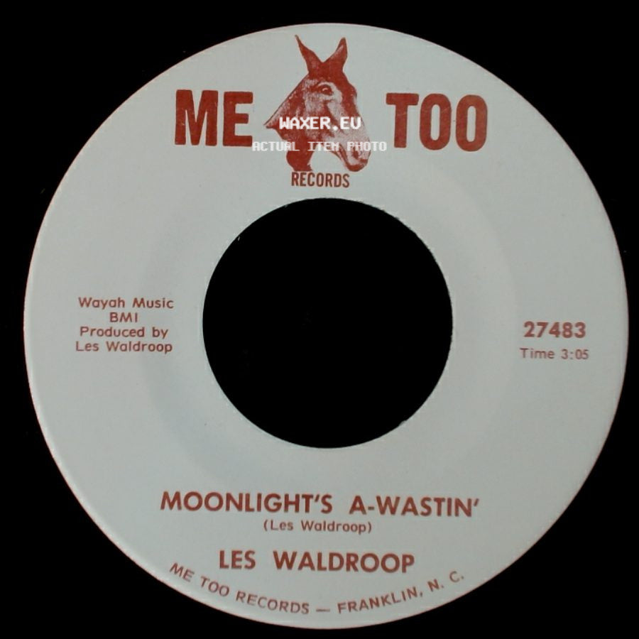 Les Waldroop - Watergate Bugs / Moonlight's A-Wastin' side B