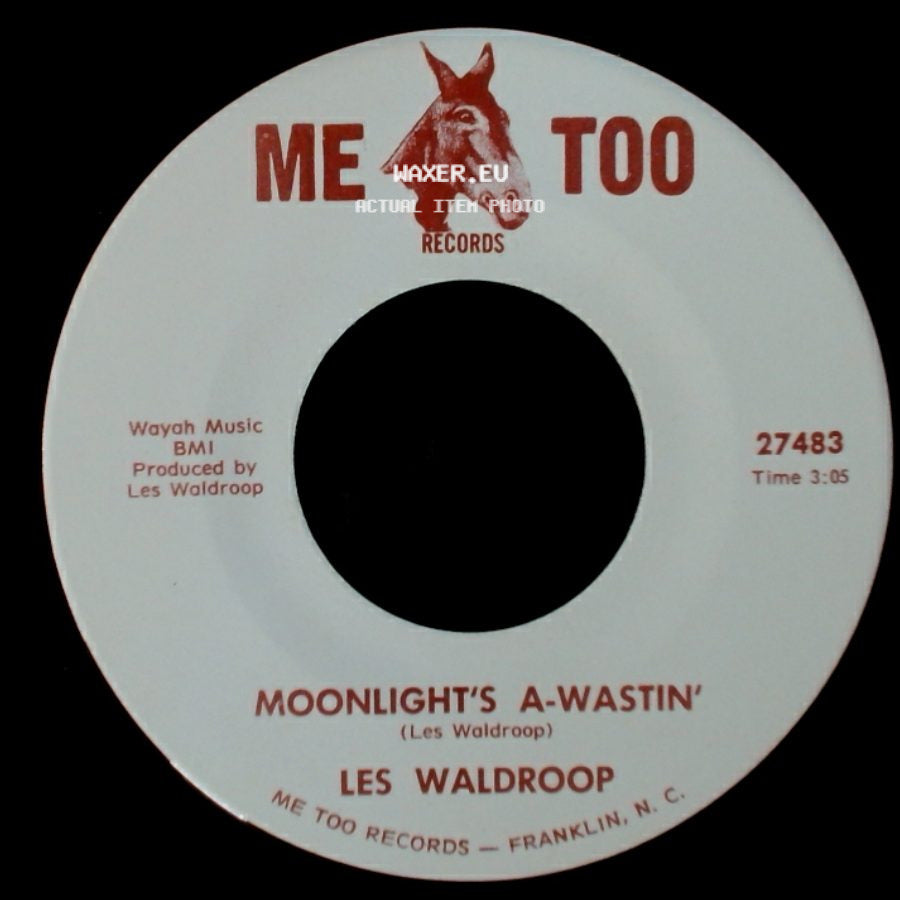 Les Waldroop - Watergate Bugs / Moonlight's A-Wastin' side B