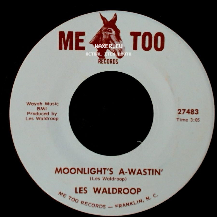 Les Waldroop - Watergate Bugs / Moonlight's A-Wastin' side B
