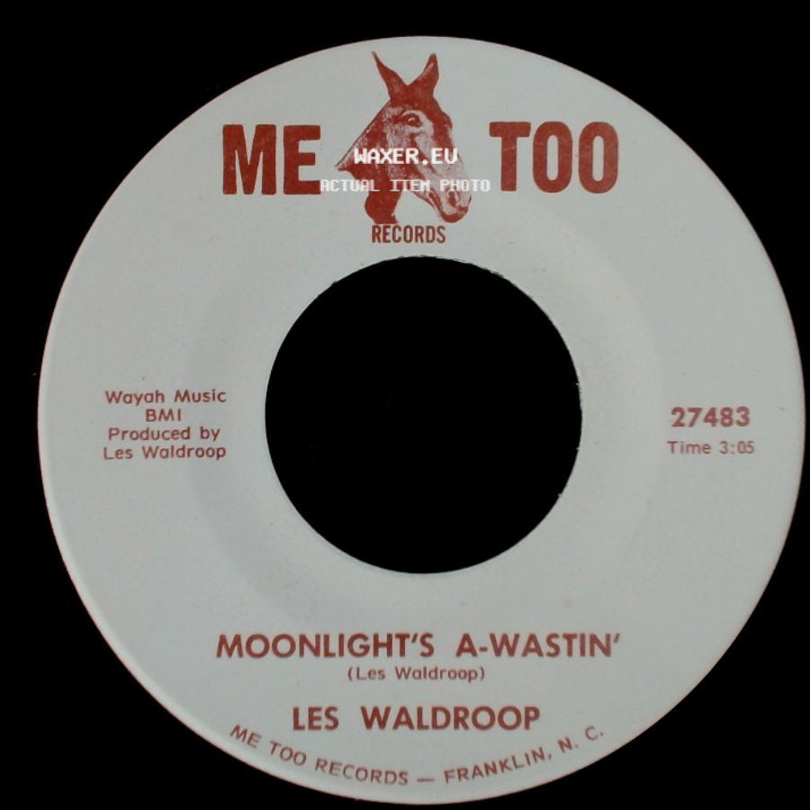 Les Waldroop - Moonlight's A-Wastin' / Watergate Bugs side A