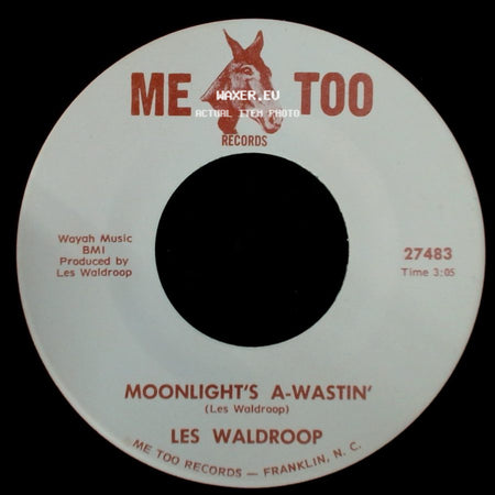 Les Waldroop - Moonlight's A-Wastin' / Watergate Bugs side A