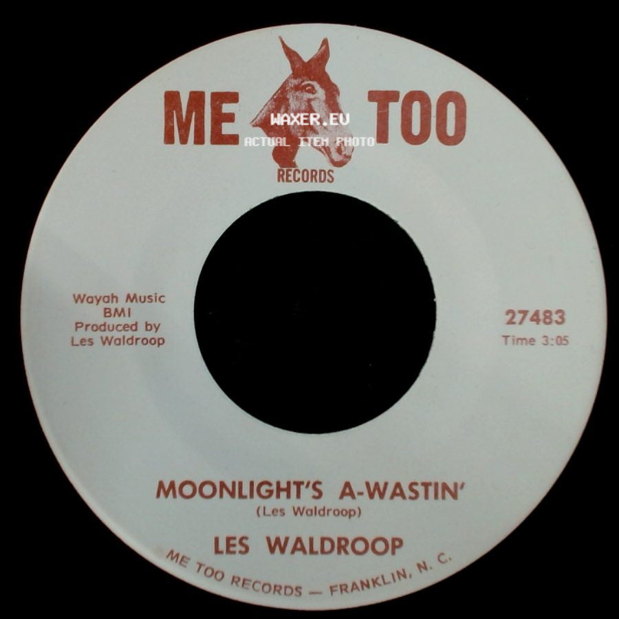 Les Waldroop - Moonlight's A-Wastin' / Watergate Bugs side A