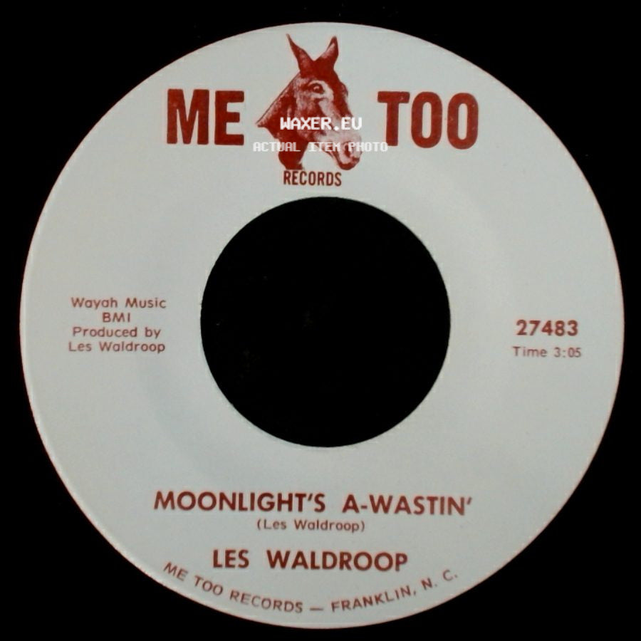 Les Waldroop - Moonlight's A-Wastin' / Watergate Bugs side A