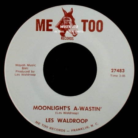 Les Waldroop - Moonlight's A-Wastin' / Watergate Bugs side A