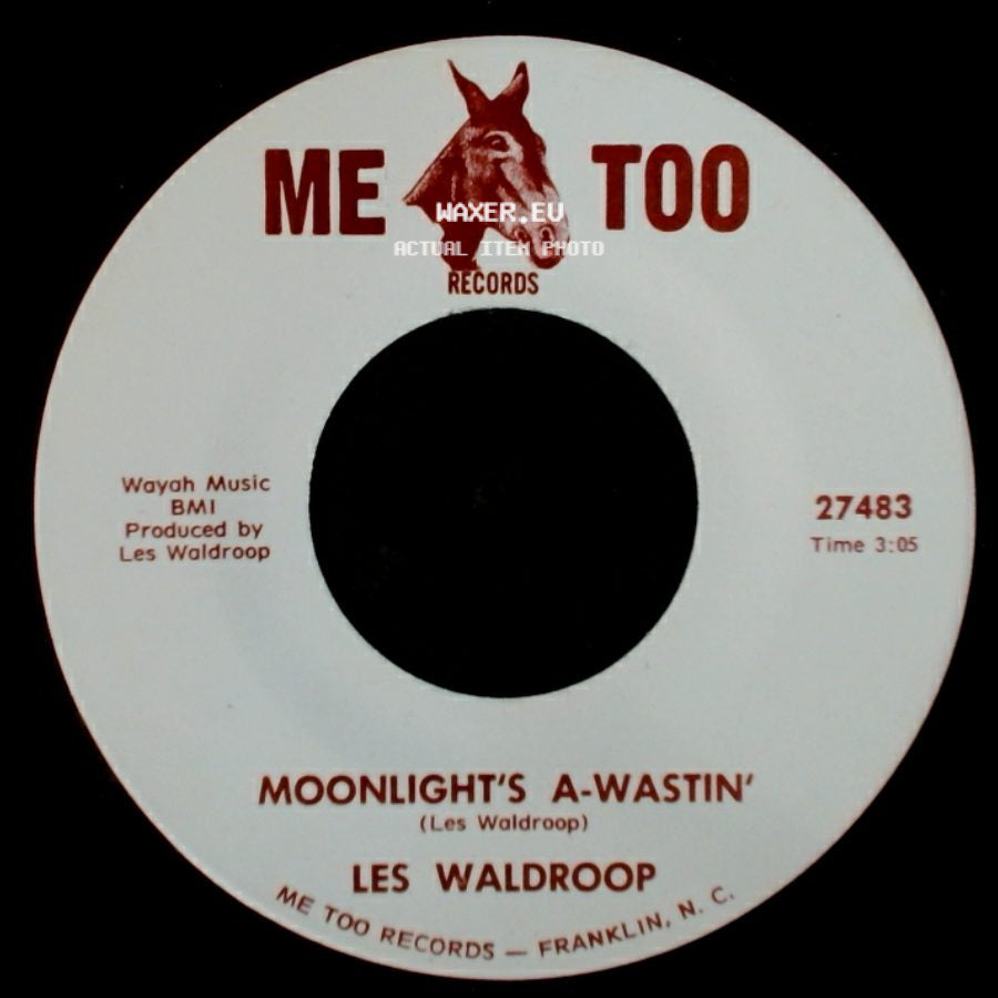 Les Waldroop - Moonlight's A-Wastin' / Watergate Bugs side A