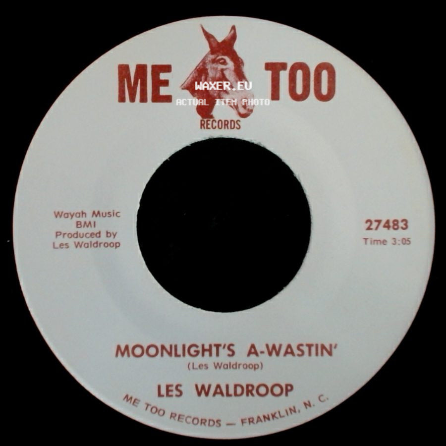 Les Waldroop - Moonlight's A-Wastin' / Watergate Bugs side A