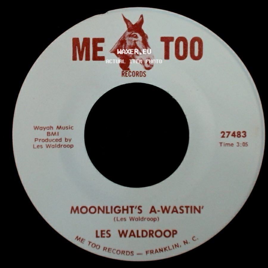 Les Waldroop - Moonlight's A-Wastin' / Watergate Bugs side A