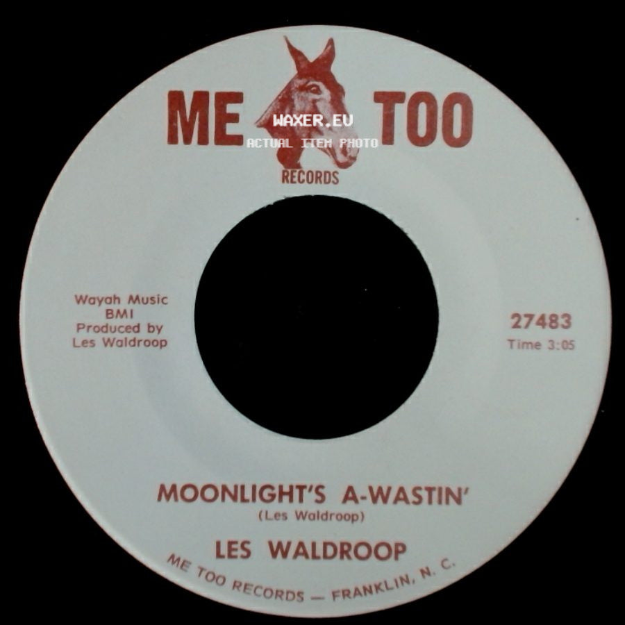 Les Waldroop - Watergate Bugs / Moonlight's A-Wastin' side B