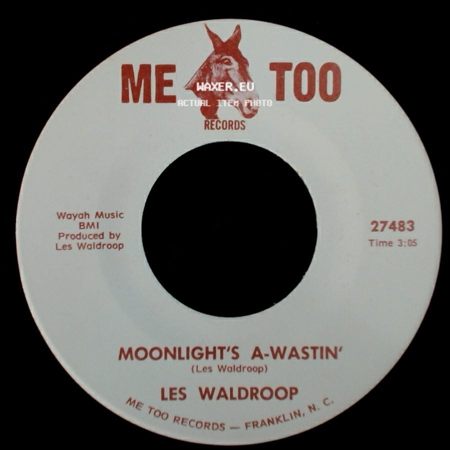 Les Waldroop - Watergate Bugs / Moonlight's A-Wastin' side B