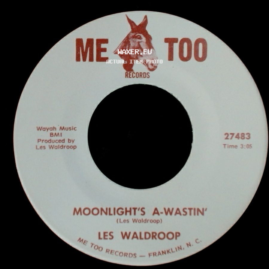 Les Waldroop - Moonlight's A-Wastin' / Watergate Bugs side A