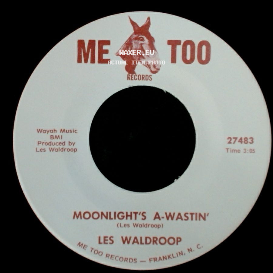 Les Waldroop - Moonlight's A-Wastin' / Watergate Bugs side A