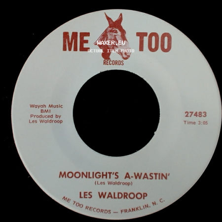 Les Waldroop - Moonlight's A-Wastin' / Watergate Bugs side A