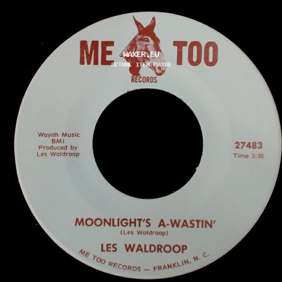 Les Waldroop - Moonlight's A-Wastin' / Watergate Bugs side A