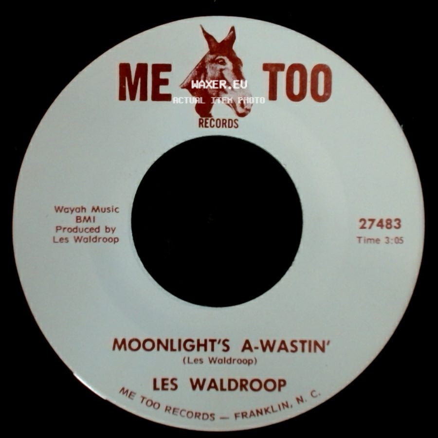 Les Waldroop - Watergate Bugs / Moonlight's A-Wastin' side B
